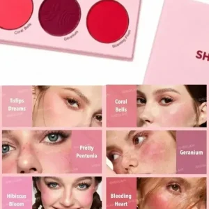 پالت رژگونه 6 رنگ مسترکوالیتی شیگلم SHEGLAM | فروشگاه لوازم آرایشی،بهداشتی،زیبایی و مراقبتی مروا